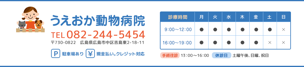 うえおか動物病院