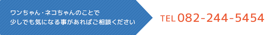 ワンちゃん・ネコちゃんのことで少しでも気になる事があればご相談ください